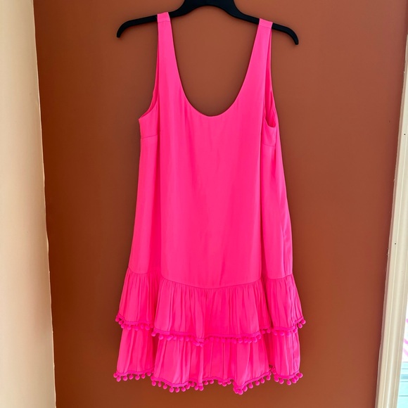 Lilly Pulitzer Natashia Pom Pom Pink Dress - Picture 3 of 7